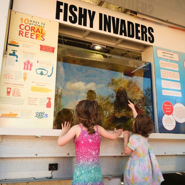 Kids exploring the Fishy Invaders marine education exhibit