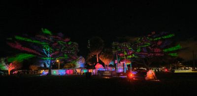 2026 St. Pete CommUNITY Festival photo