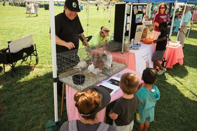 2026 St. Pete CommUNITY Festival photo