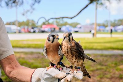2026 St. Pete CommUNITY Festival photo