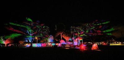 2026 St. Pete CommUNITY Festival photo