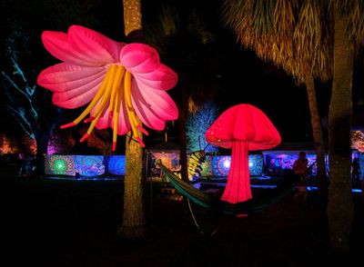 2026 St. Pete CommUNITY Festival photo