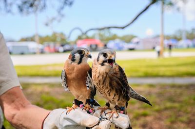 2026 St. Pete CommUNITY Festival photo