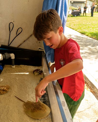 2026 St. Pete CommUNITY Festival photo