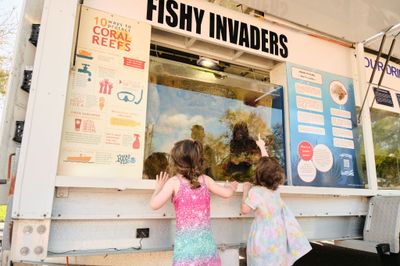 2026 St. Pete CommUNITY Festival photo