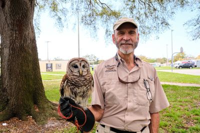 2026 St. Pete CommUNITY Festival photo